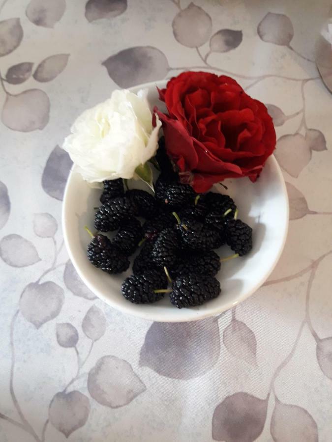 Pecore Ribelli 米拉 外观 照片